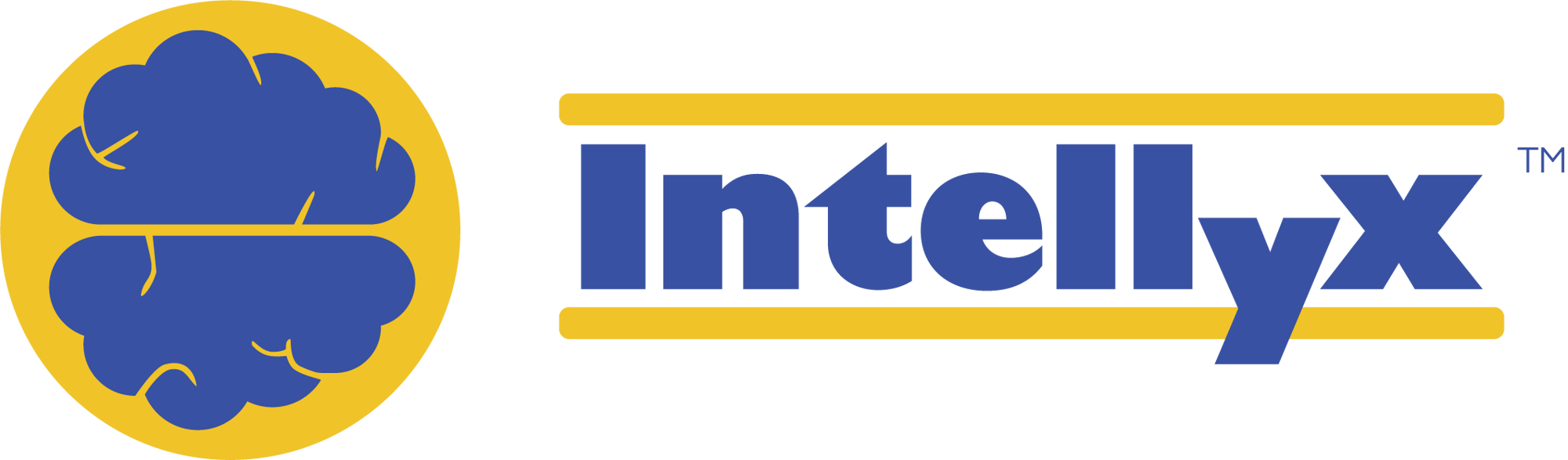 intellyx logo wide