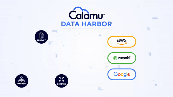 Data Harbor Gif 2 - Low Size