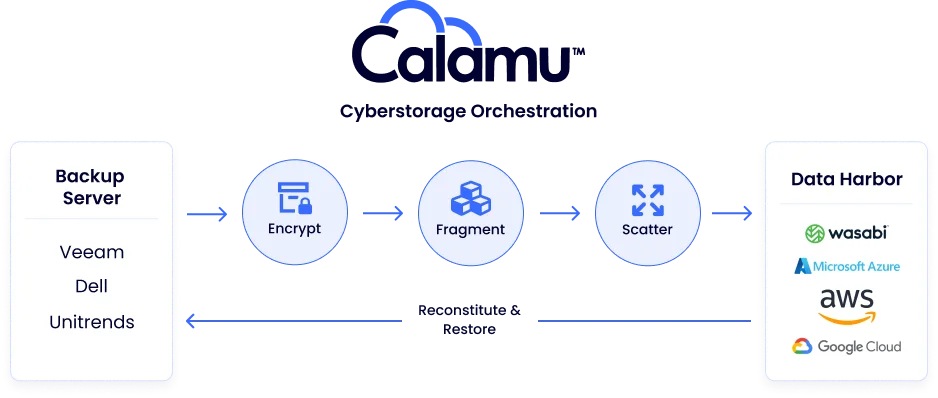 https://9291420.fs1.hubspotusercontent-na1.net/hubfs/9291420/theme-calamu/images/backups/cyberstorage.webp